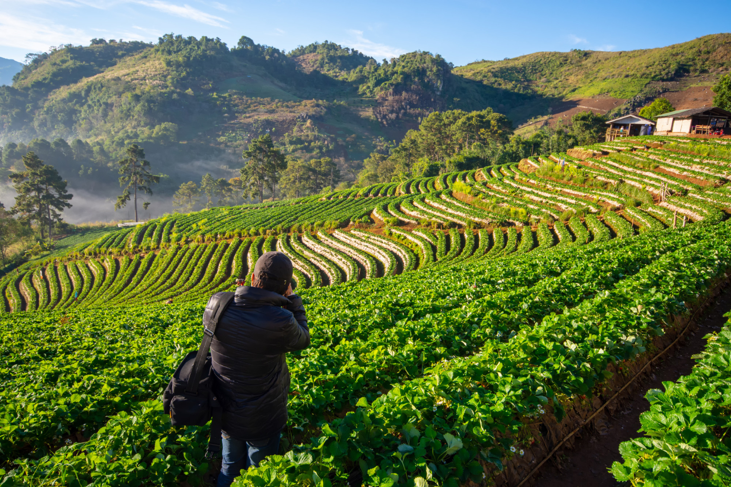 avaluo agrícola Costa Rica - sistema de riego en finca